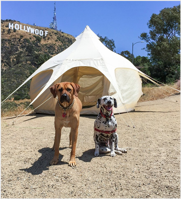 Celeb Tent photo